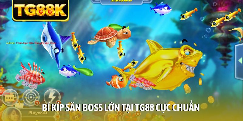 Bí kíp săn Boss lớn tại TG88 cực chuẩn Bí kíp săn Boss lớn tại TG88 cực chuẩn