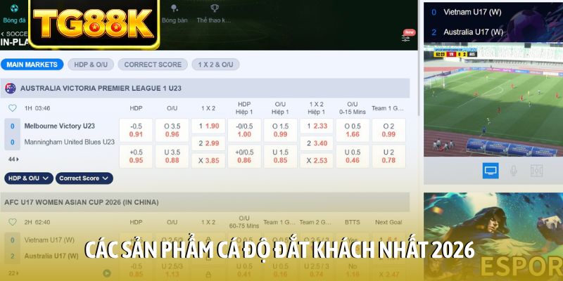 Các sản phẩm cá độ đắt khách nhất 2026