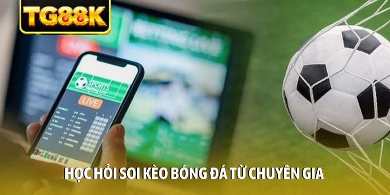 Học hỏi soi kèo bóng đá từ chuyên gia
