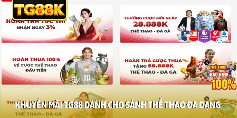 Khuyến mãi TG88 dành cho sảnh thể thao đa dạng