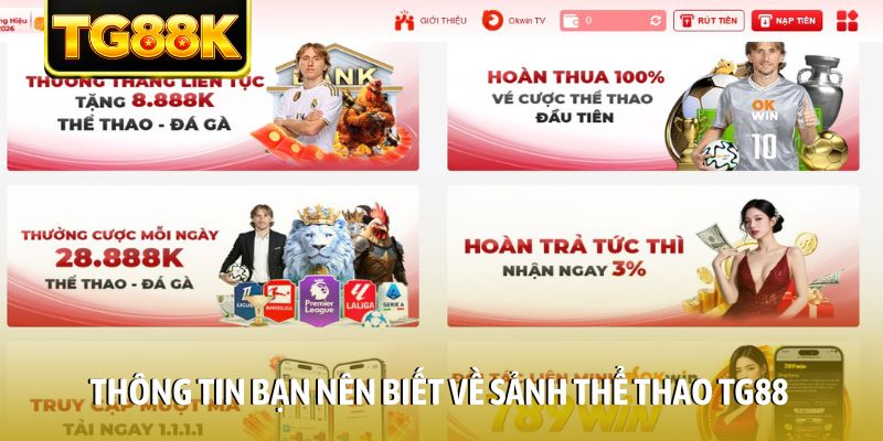 Thông tin bạn nên biết về sảnh thể thao TG88